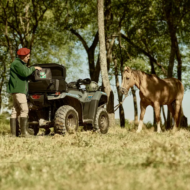 Honda-TRX420-caballo