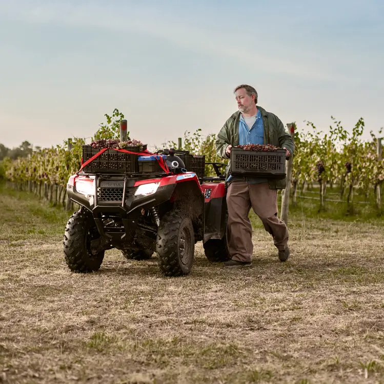 Honda-TRX420-cosecha